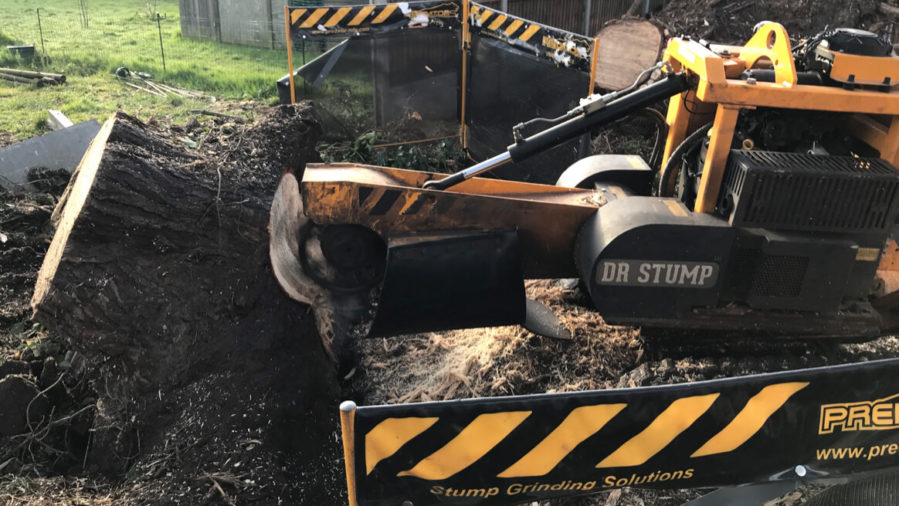 machinery removing tree stump