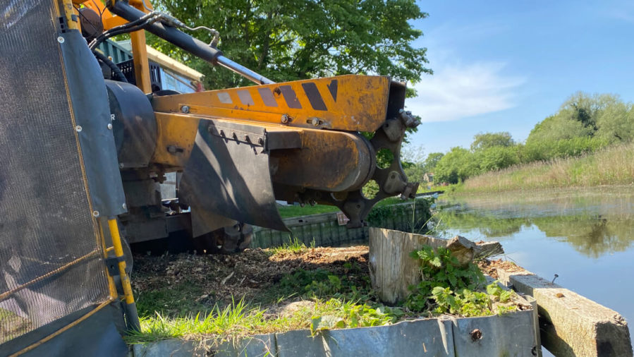tree stump grinding by river