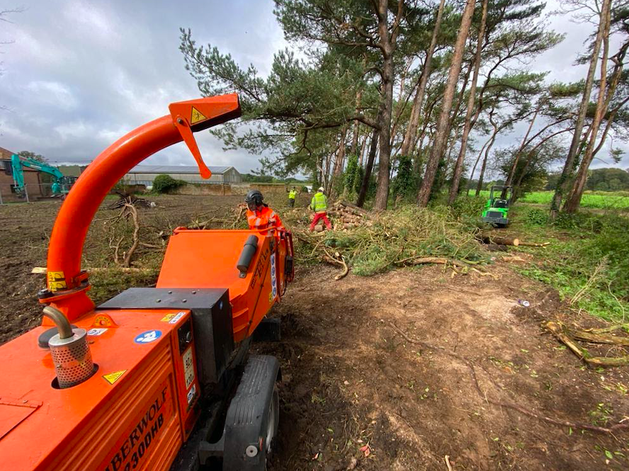 Revitalising tree shelter belts in Norfolk | Dr Stump