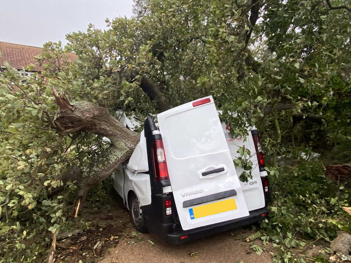 crushed van under tree after storm