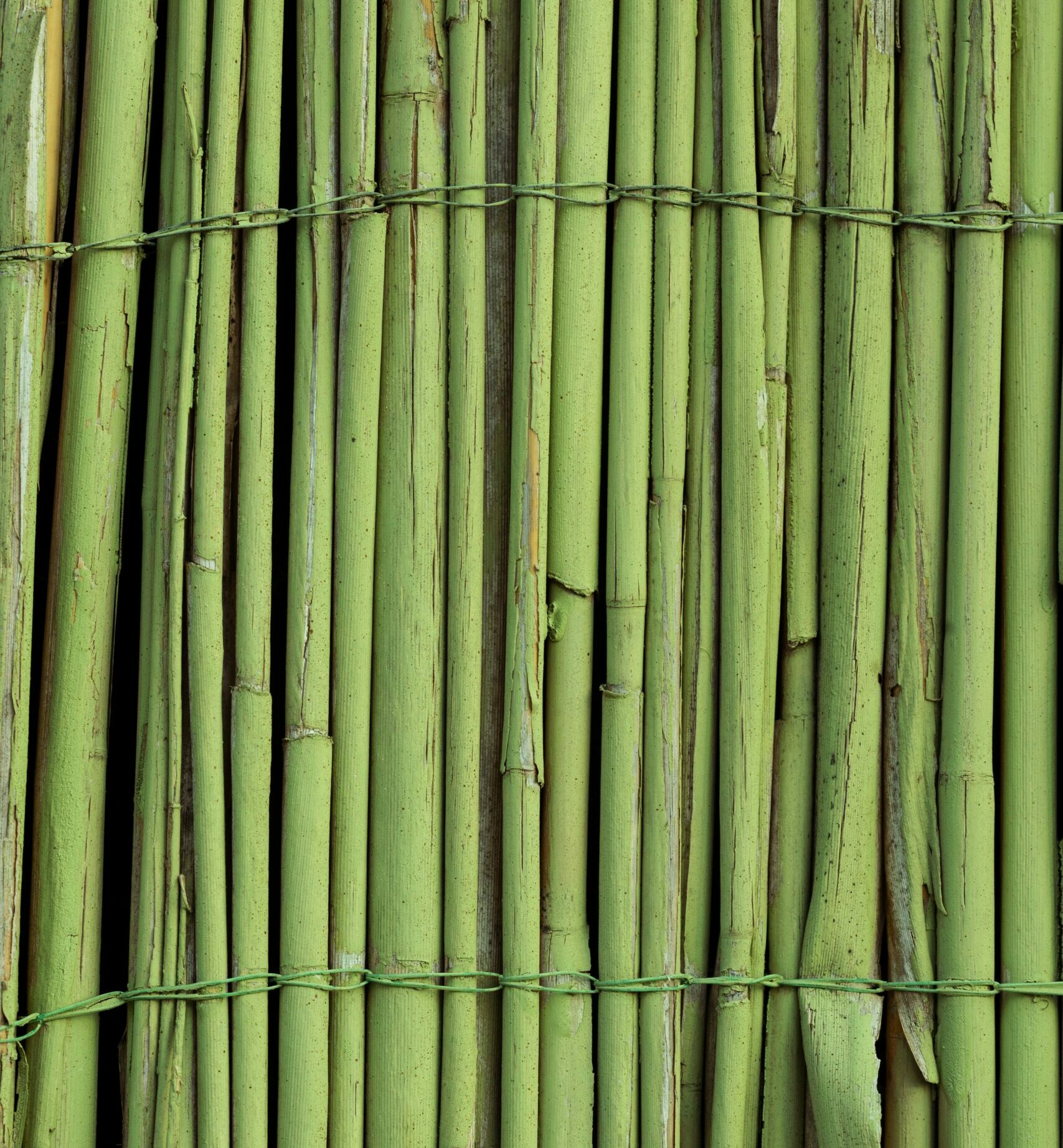 decorative image of bamboo canes